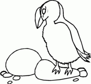 Disegno di uccello da stampare e colorare 59