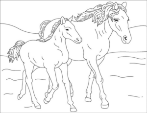 Disegno di cavallo da stampare e colorare 126