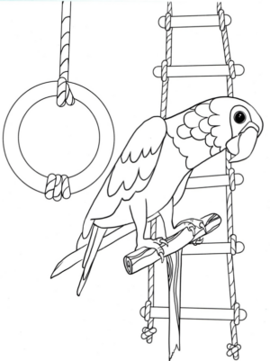 Disegno di pappagallo da stampare e colorare 95