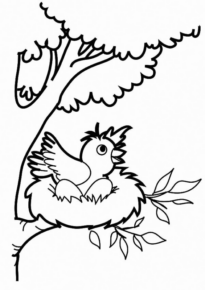 Disegno di uccello da stampare e colorare 8