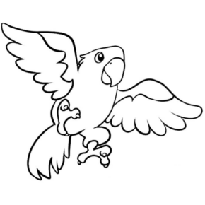 Disegno di pappagallo da stampare e colorare 92