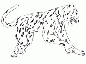 Disegno di leopardo da stampare e colorare 9