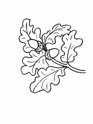 Disegno di foglia da stampare e colorare 13