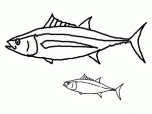 Disegno di pesce da stampare e colorare 245