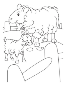 Disegno di pecora da stampare e colorare 53