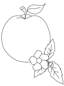 Disegno di mela da stampare e colorare 15