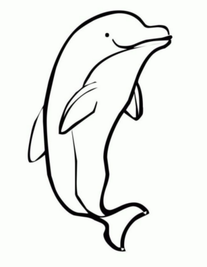 Disegno di delfino da stampare e colorare 10