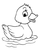 Disegni di Papere da colorare