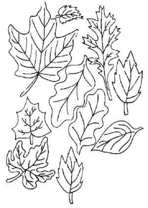 Disegno di foglia da stampare e colorare 115