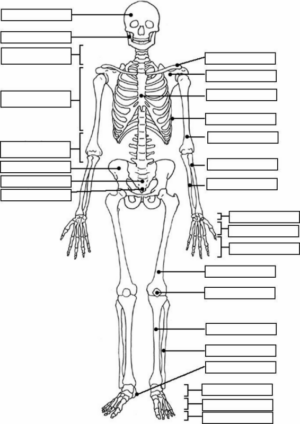 Disegno di parti del corpo da stampare e colorare 17