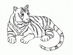Disegno di tigre da stampare e colorare 25