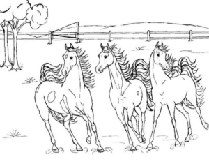 Disegno di cavallo da stampare e colorare 37
