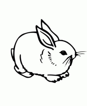 Disegno di coniglio da stampare e colorare 71