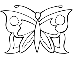 Disegno di farfalla da stampare e colorare 167