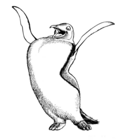 Disegno di pinguino da stampare e colorare 33