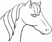 Disegni di Cavalli da colorare