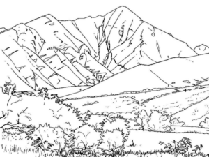 Disegno di paesaggio da stampare e colorare 31
