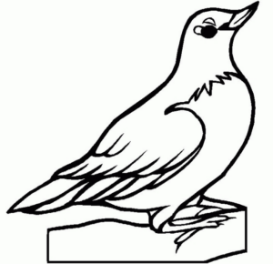 Disegno di colomba da stampare e colorare 37