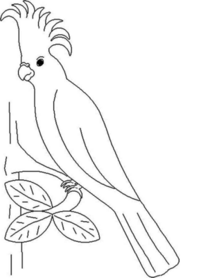 Disegno di pappagallo da stampare e colorare 94