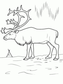 Disegno di renna da stampare e colorare
