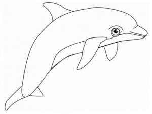 Disegno di delfino da stampare e colorare 77