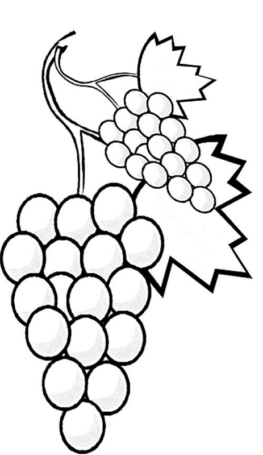 Disegno di uva da stampare e colorare 8