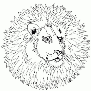 Disegno di leone da stampare e colorare 85