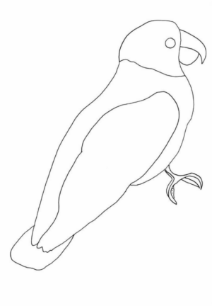 Disegno di uccello da stampare e colorare 53