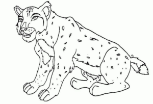 Disegno di leopardo da stampare e colorare 63