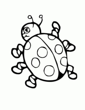 Disegno di coccinella da stampare e colorare 60