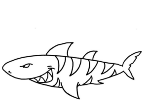 Disegno di squalo da stampare e colorare 69