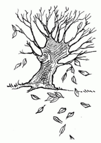Disegno di albero da stampare e colorare 72
