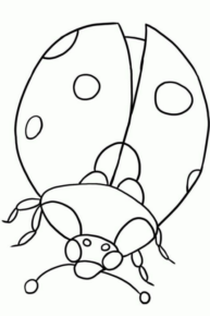 Disegno di coccinella da stampare e colorare 61