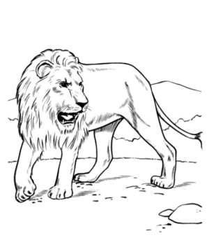 Disegno di leone da stampare e colorare 89
