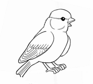 Disegno di passero da stampare e colorare 34