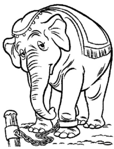 Disegno di Dumbo da stampare e colorare 13