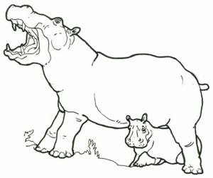 Disegno di ippopotamo da stampare e colorare 16