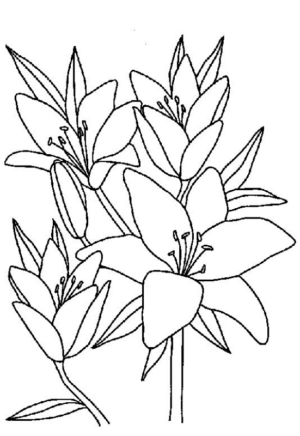 Disegno di fiore da stampare e colorare 203