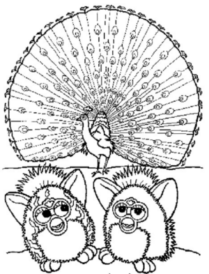 Disegno di pavone da stampare e colorare 8