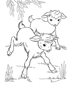 Disegno di pecora da stampare e colorare 50