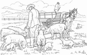 Disegno di pecora da stampare e colorare 8