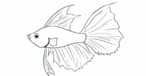 Disegno di pesce da stampare e colorare 260
