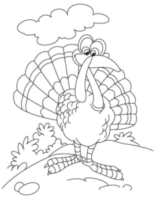 Disegno di tacchino da stampare e colorare 38