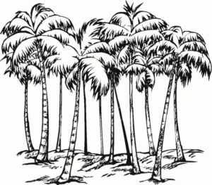 Disegno di albero da stampare e colorare 64
