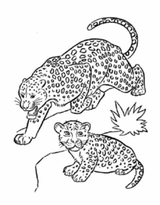 Disegno di leopardo da stampare e colorare 41