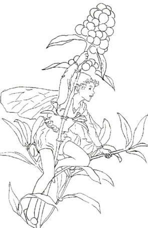 Disegno di fata da stampare e colorare 12