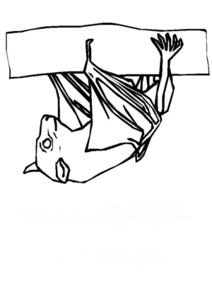 Disegno di pipistrello da stampare e colorare 17