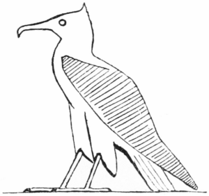 Disegno di uccello da stampare e colorare 88