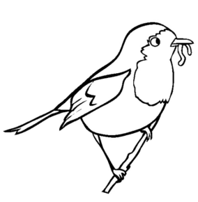 Disegno di uccello da stampare e colorare 12