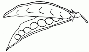 Disegno di pisellino da stampare e colorare 5